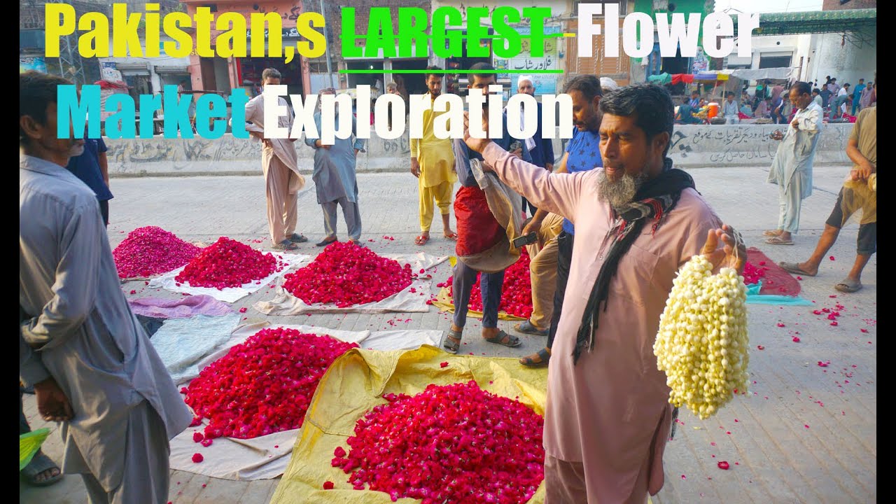 Pakistan’s Largest Flower  Market Exploration