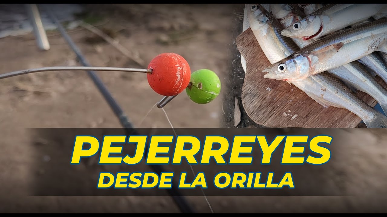 PEJERREYES DESDE LA ORILLA - LAGUNA DE LOS PADRES