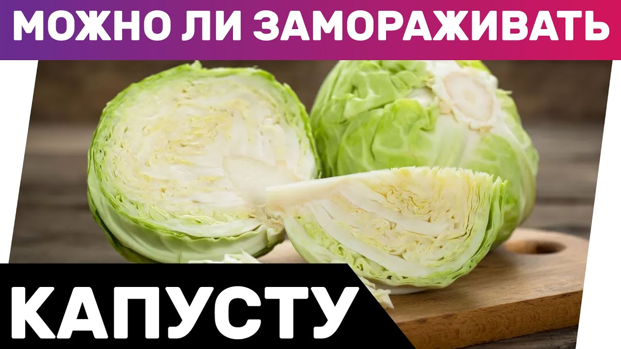Можно ли замораживать капусту? Советы по заморозке
