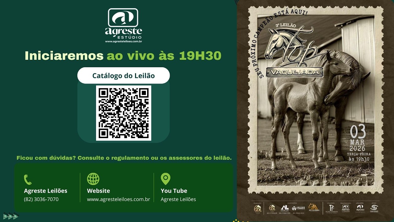 3° LEILÃO TOP VAQUEJADA - 03.03.2026