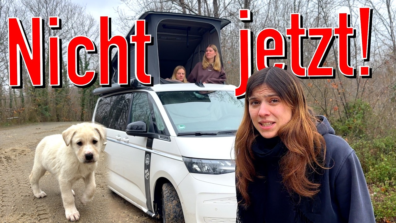 Schlaflose Nacht beim Campen in Griechenland! 😵‍💫 - Zu viert im VW T7.