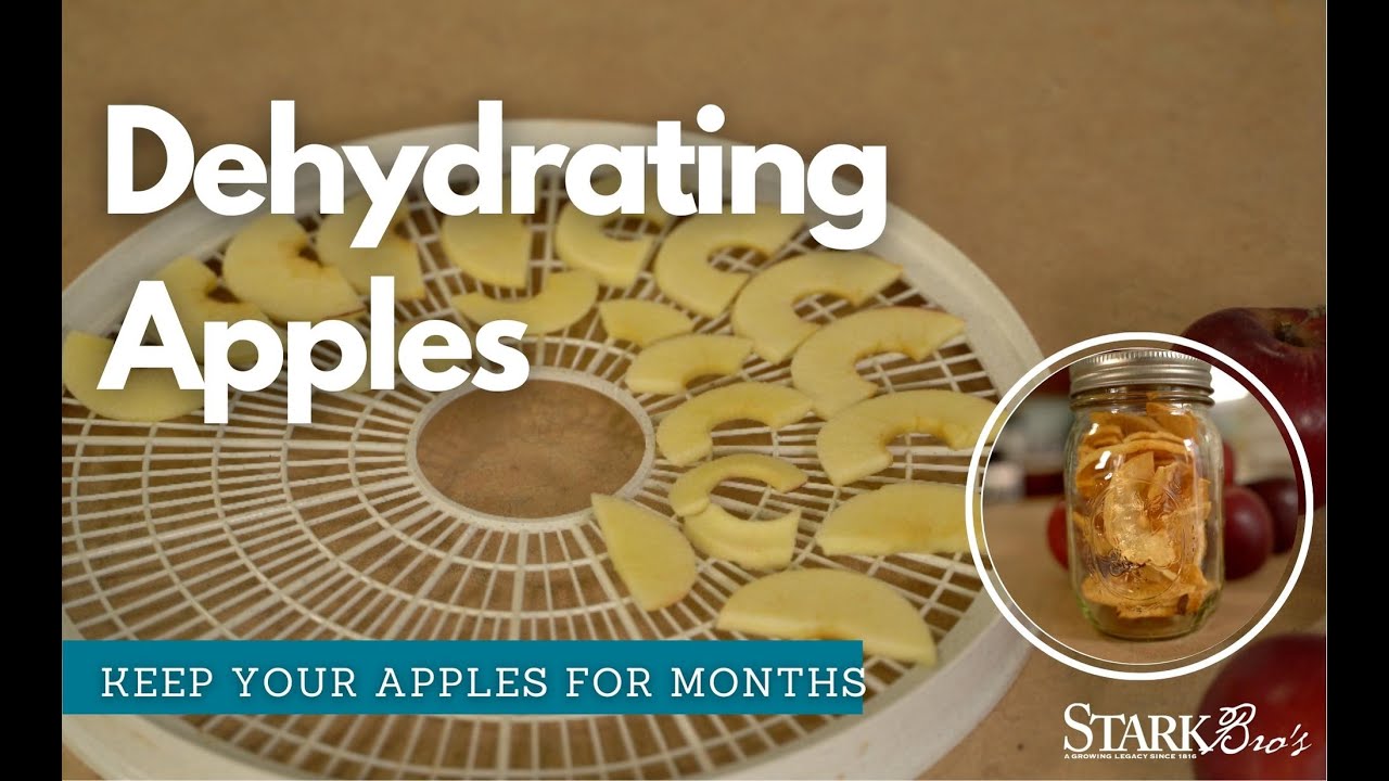 Dehydrate Apples for Long Term Apple Storage