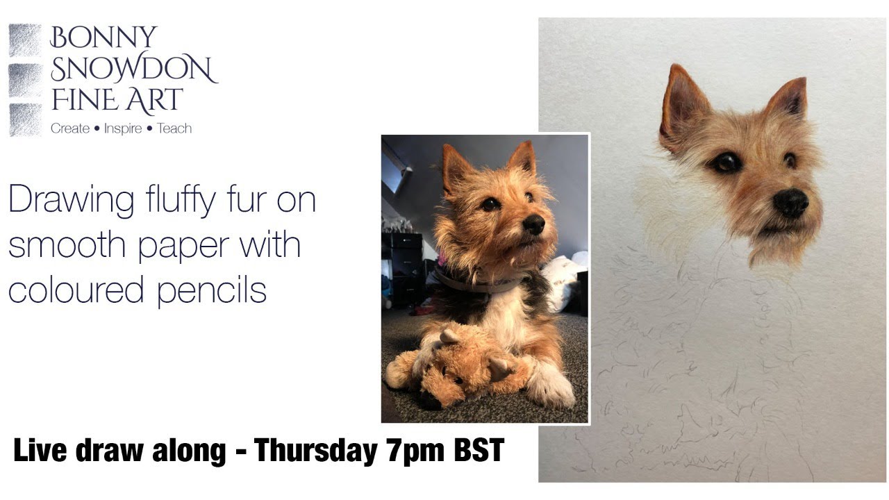 Live Draw Along and Chat | Fluffy Fur with Coloured Pencils