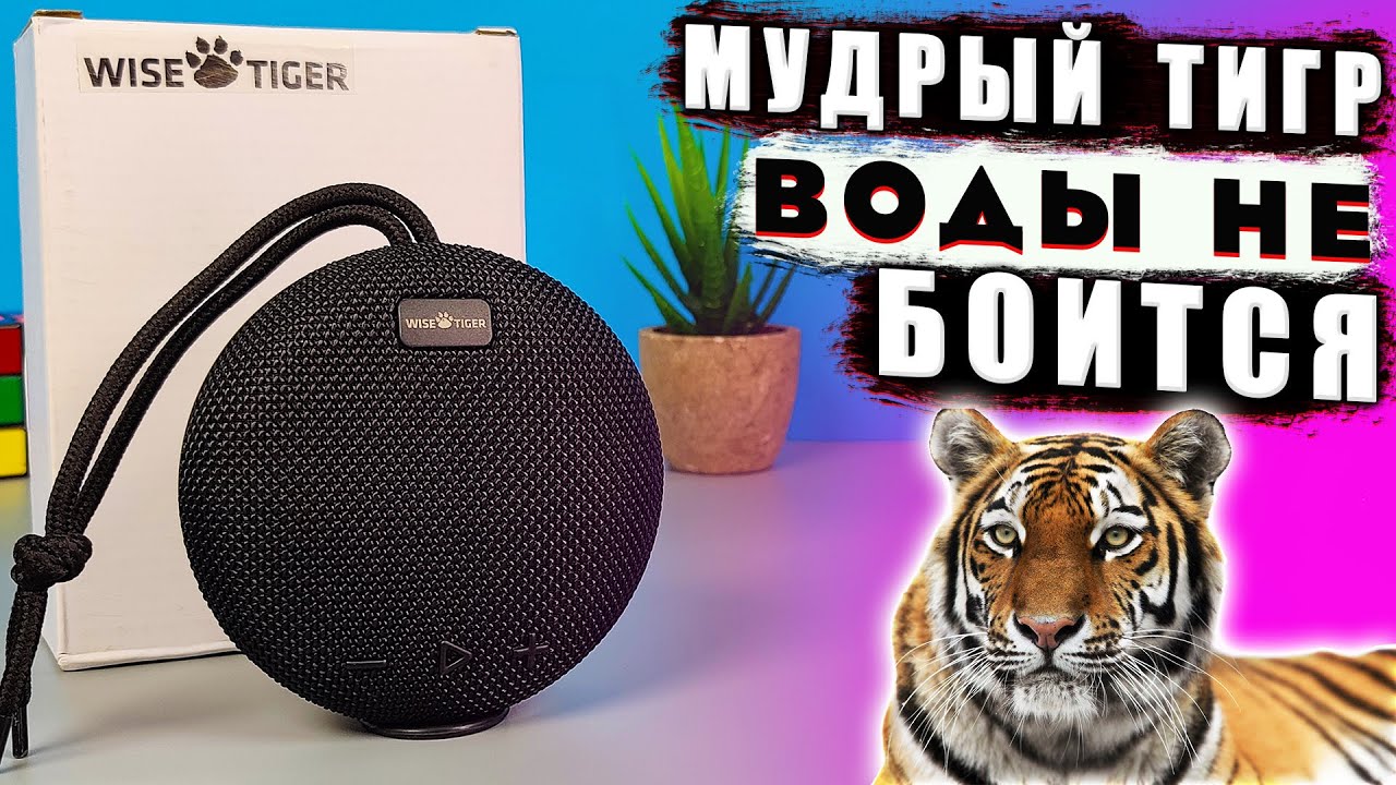 Wise Tiger C200 🔥 НЕПОТОПЛЯЕМАЯ БЛЮТУЗ КОЛОНКА IPX7 с ХОРОШЕЙ АВТОНОМНОСТЬЮ !
