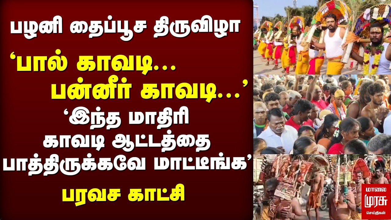 பழனி தைப்பூச திருவிழா | காவடியாட்டம் | Thaipoosam | Palani Murugan Temple