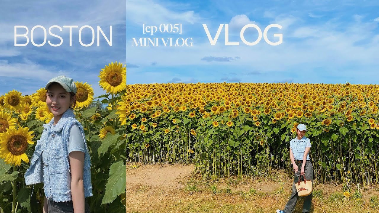 Sunflower Farm 🌻 | First Time Meeting Cosplayers | Escape from Boston City Life