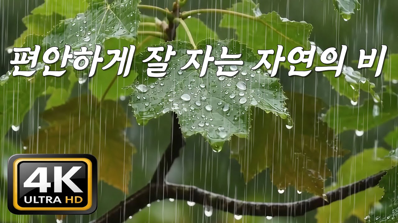 편안하게 잘 자는 자연의 빗소리, [중간광고없음]10분후 검은화면, 마음을 내려놓는 깊은 숙면 힐링 사운드, ASMR