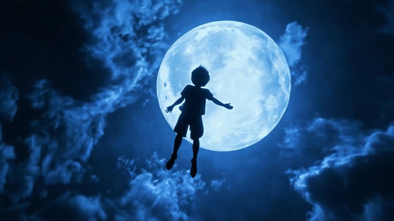 MR TOUT LE MONDE - If The Moon Could Talk