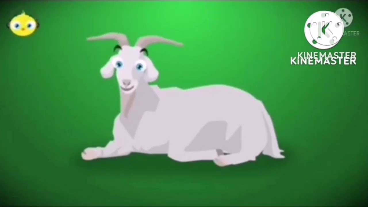 Il Pulcino Pio Multilanguages V2