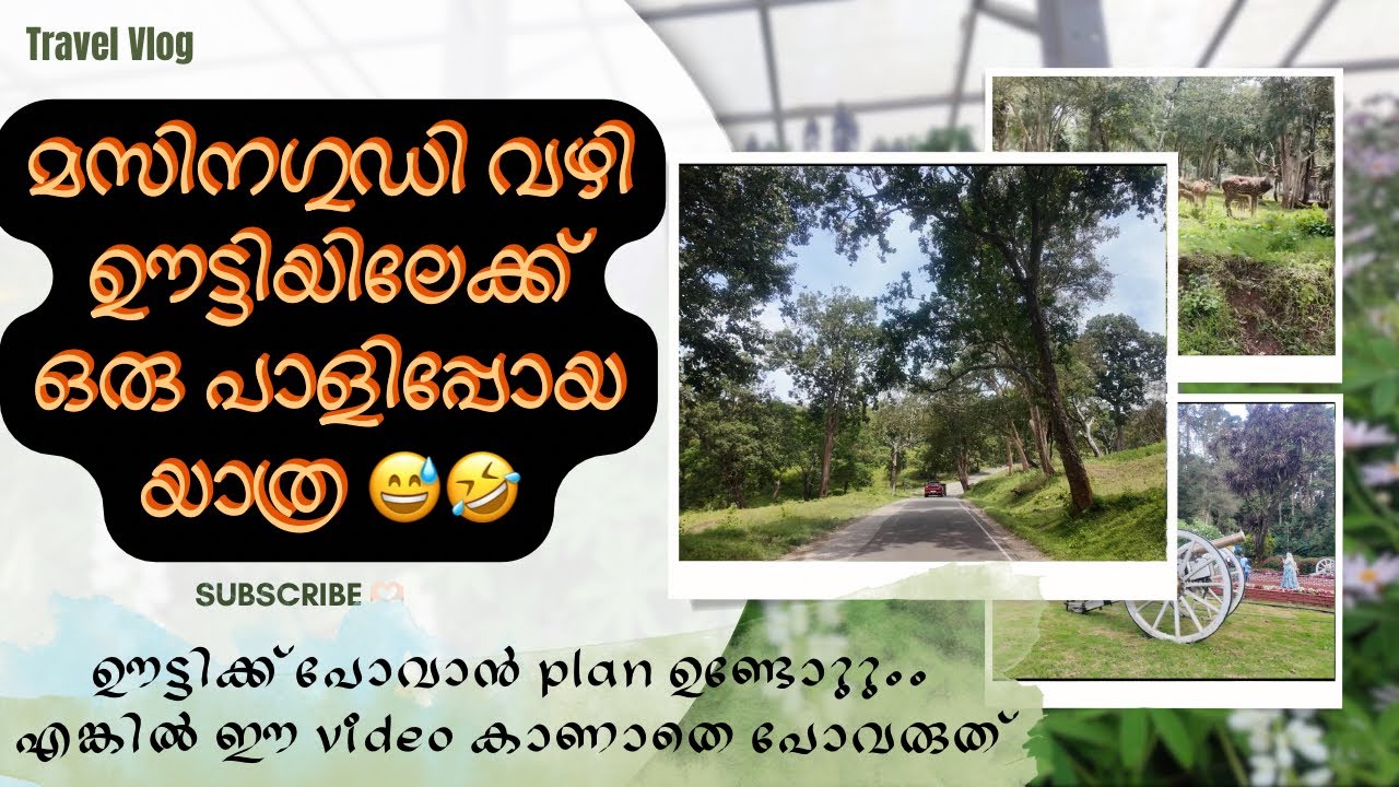 മസിനഗുഡി