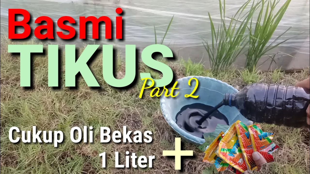 Basmi Tikus dengan OLI BEKAS +🐀🙀 _ Part 2