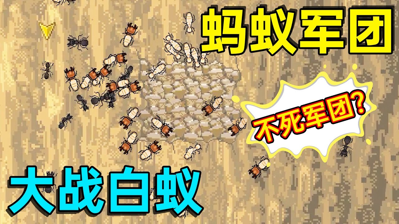 【名游社】大蚂蚁王国对战白蚂蚁王国，这是不死军团吗？