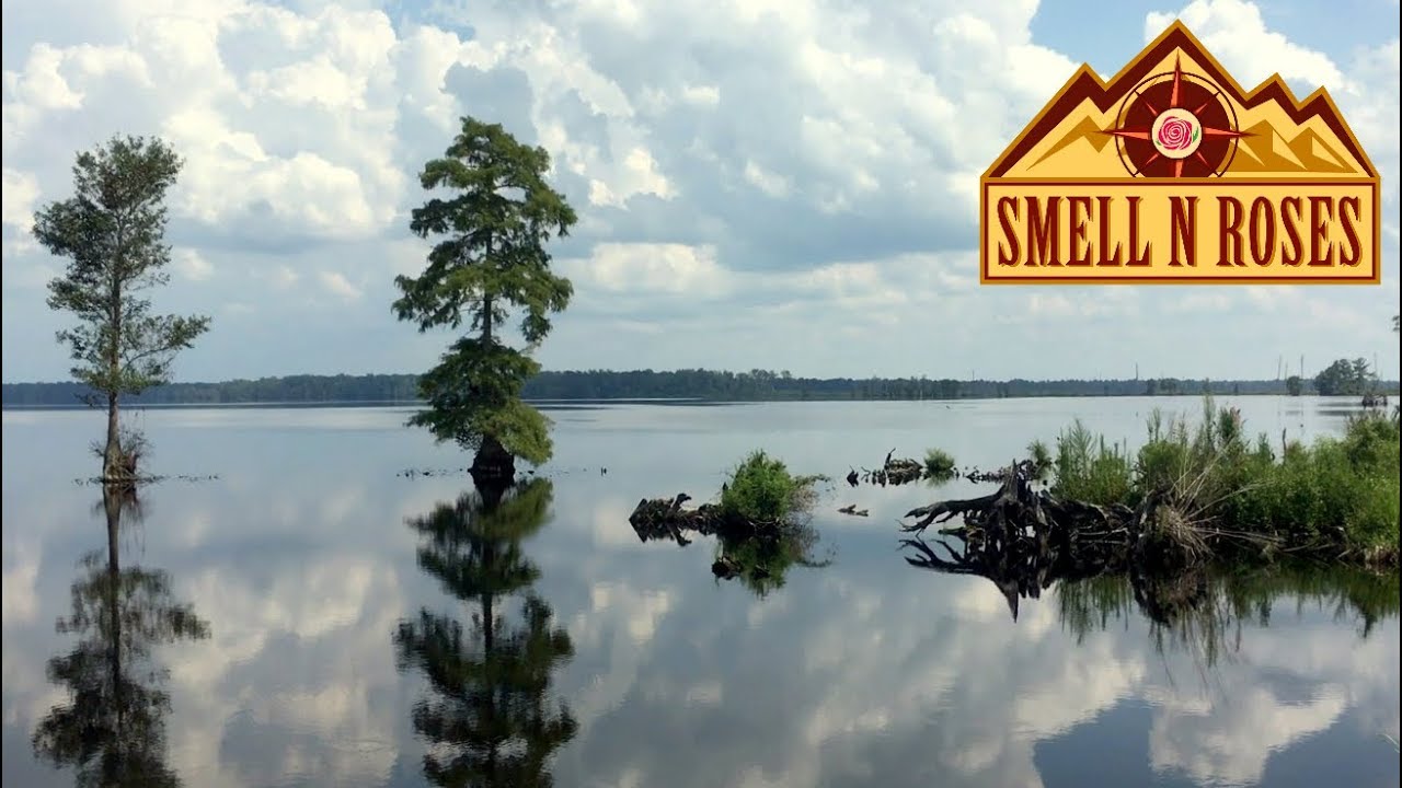 Lake Drummond & Great Dismal Swamp National Wildlife Refuge