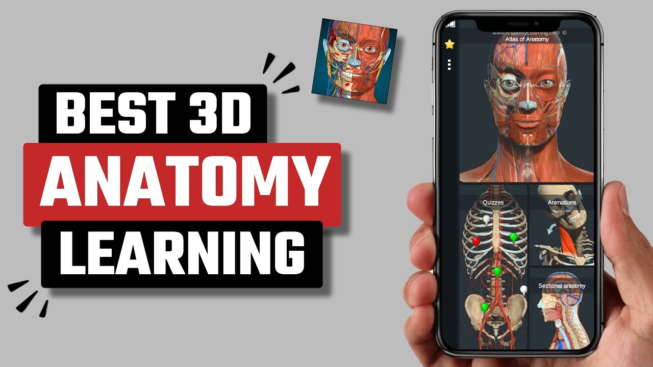 Best 3D Learning Anatomy App for Android