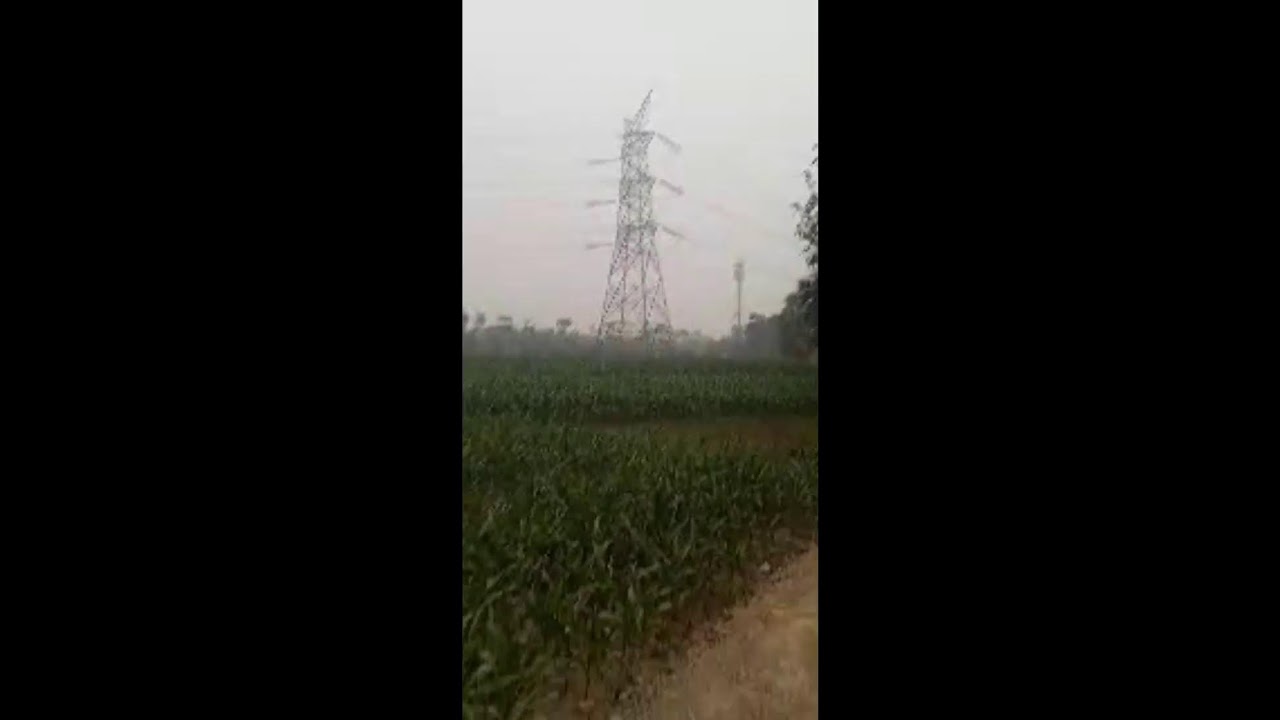 kumari लाइव है!