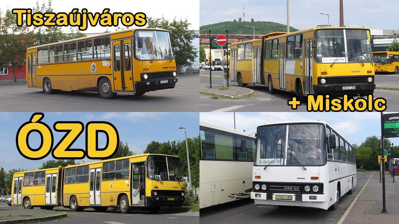Buszok Ózdon, Miskolcon és Tiszaújvárosban; utazás két Ikarussal; a felújított JSZ-369