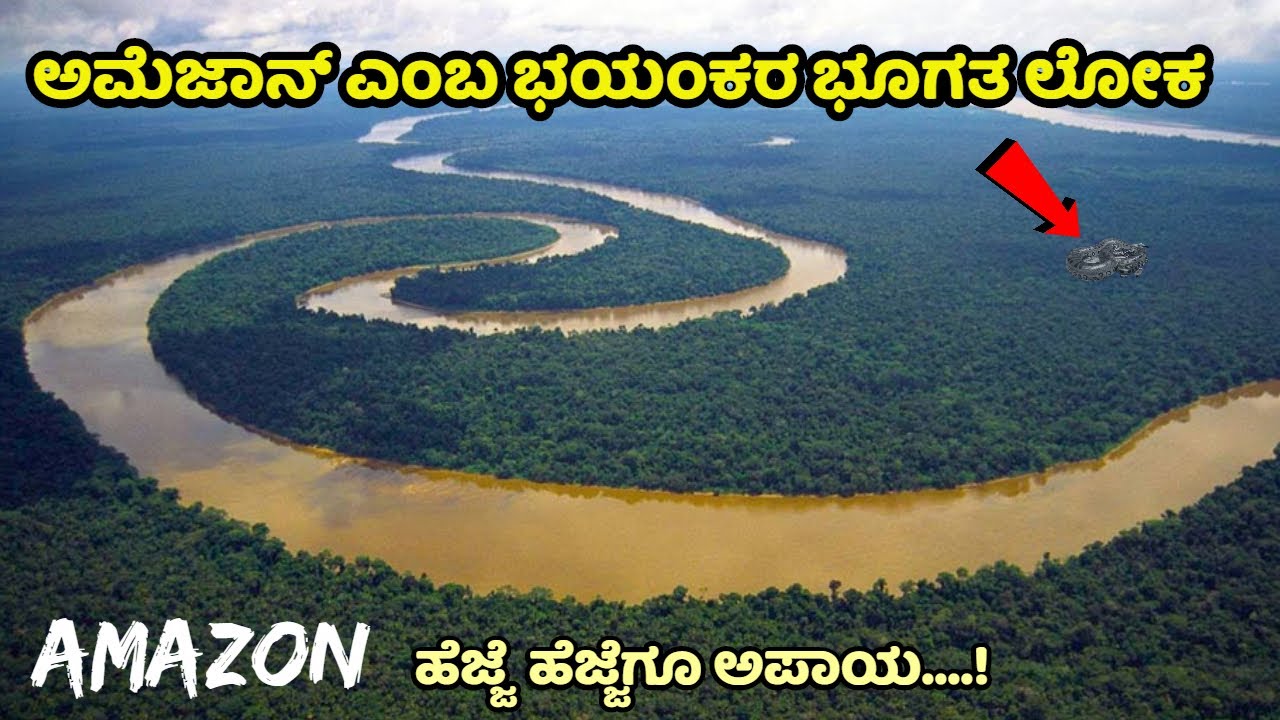 ಅಮೆಜಾನ್ಎಂಬ ಭಯಂಕರ ಭೂಗತ ಲೋಕ | Amazon | Facts | Mystery | Bandipur | Nagarahole | Agumbe | Kannada News