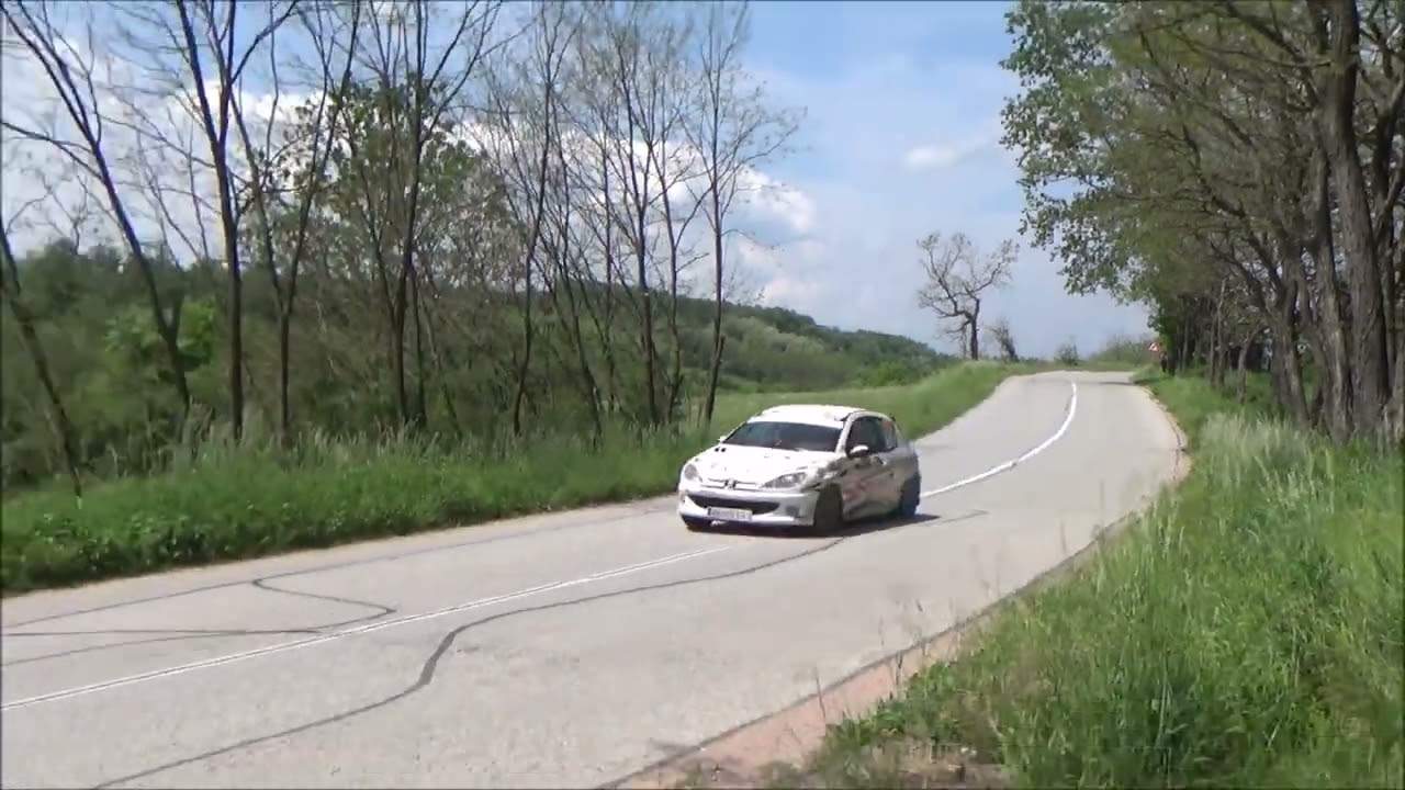 Goran Rabasovic / Slavisa Novakovic - 7. Rally Mionica 2023 - Peugeot 206 1.6 SL