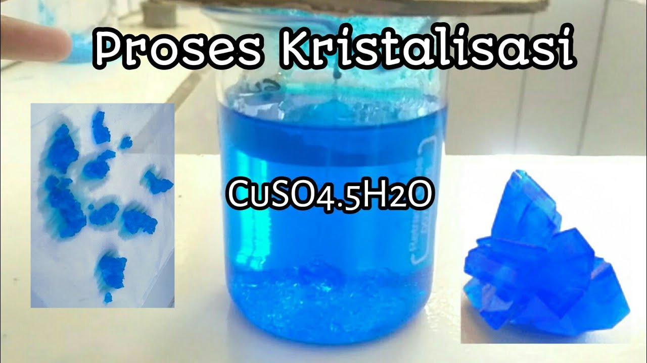 Kristalisasi CuSO4.5H2O