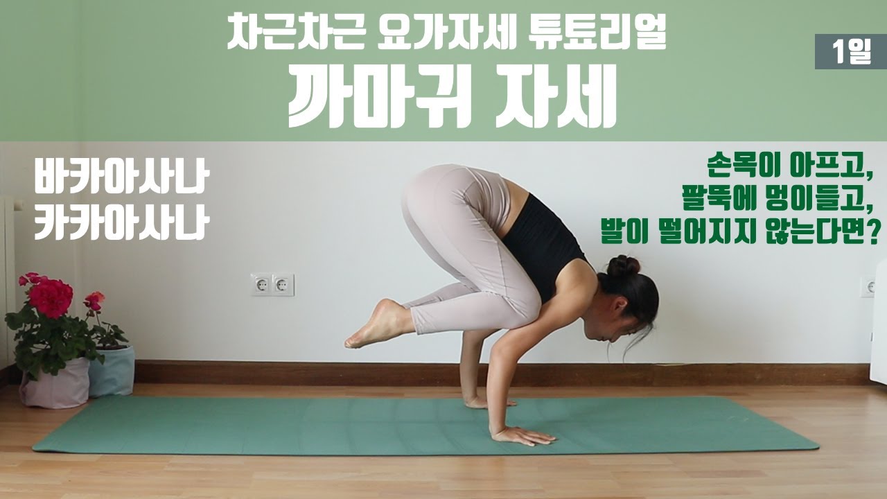 (요가은) 까마귀 자세 / 바카아사나, 카카아사나 / 차근차근 요가자세 튜툐리얼 1일