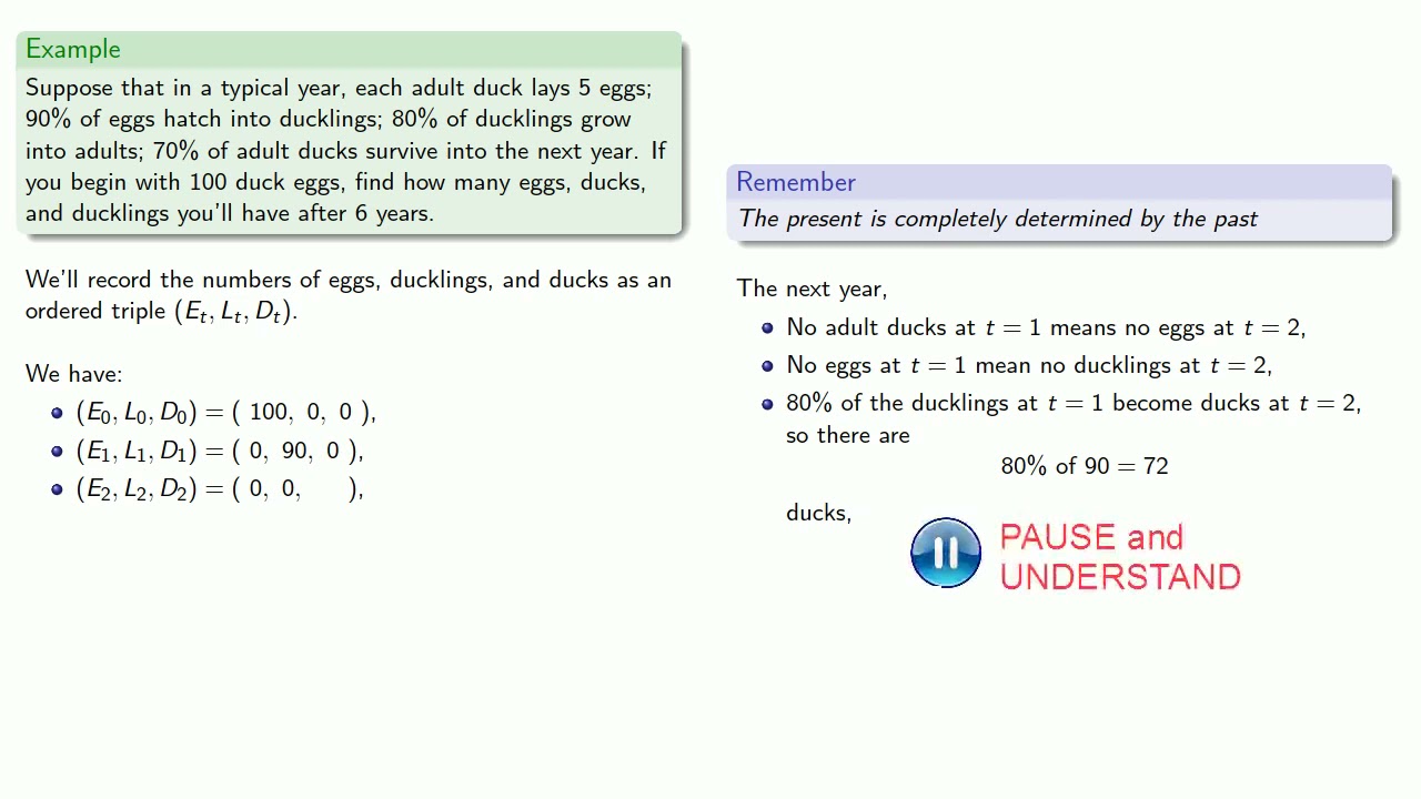 Discrete time models