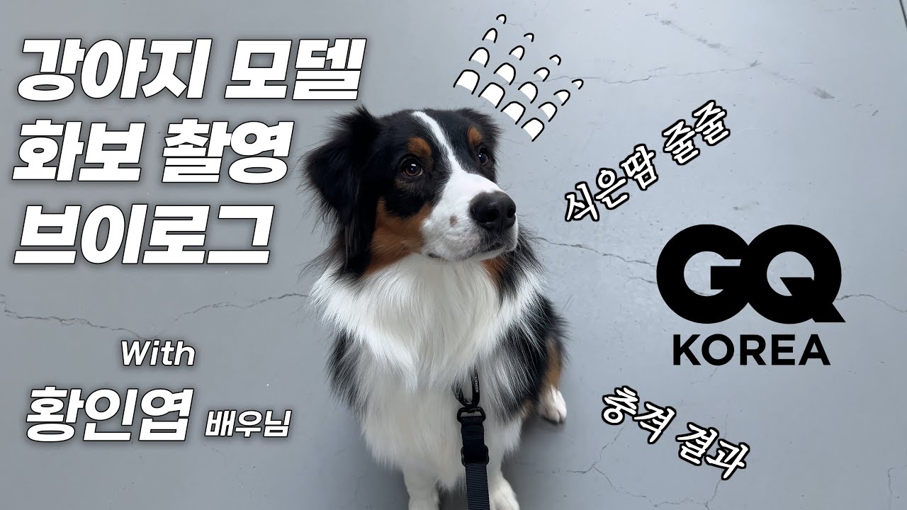 황인엽 배우님과 화보 촬영한 강아지 모델 그런데 결과물이? | A Dog Model Photoshoot with Hwang In Youp… But the Final Result?!