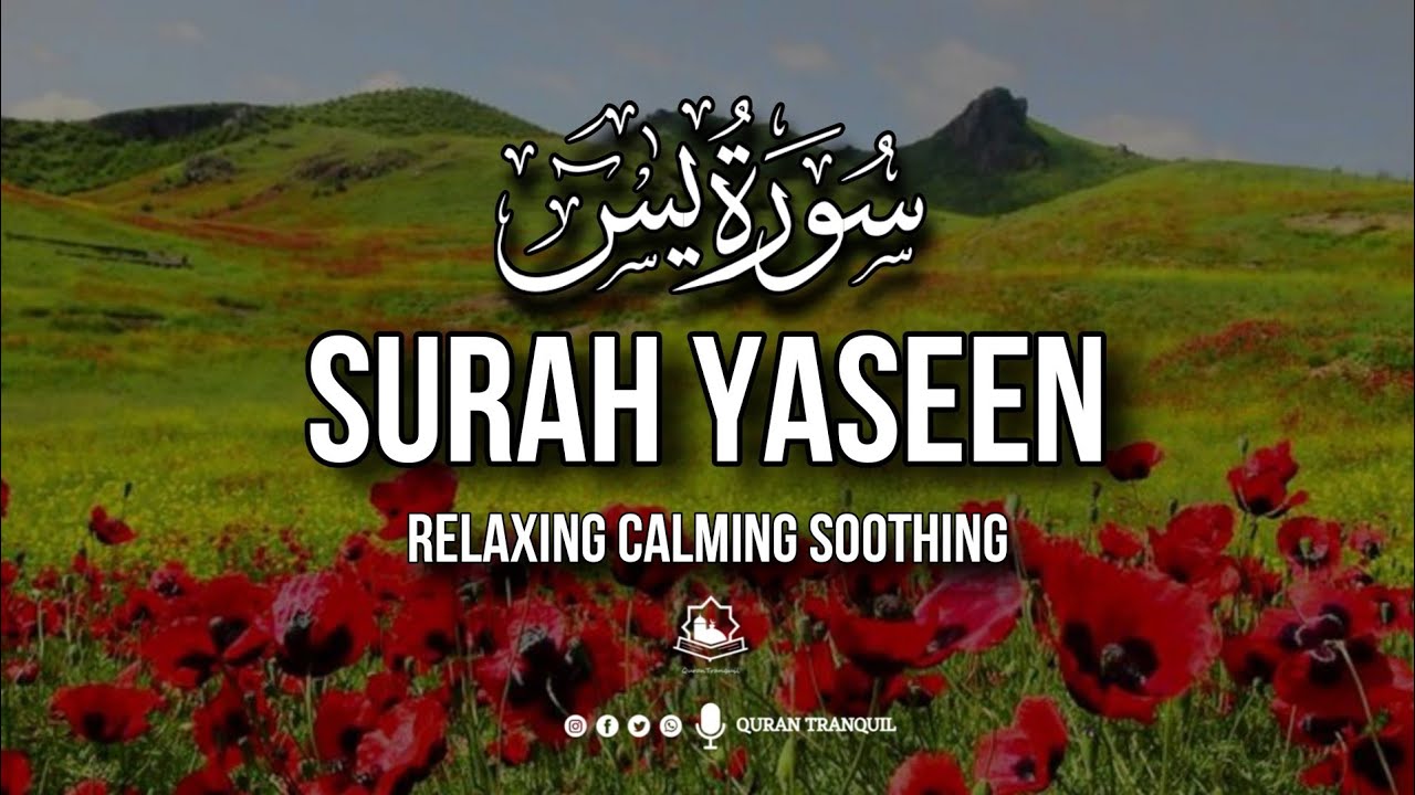 Surah Yaseen (يس) | Heart-Touching Recitation | For Peace, Shifa & Forgiveness