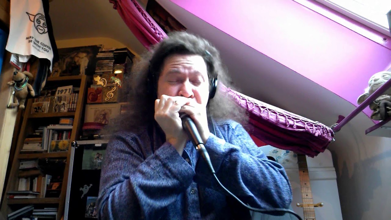 Cover Sixteen Men of Tain (Allan Holdsworth), Sébastien Charlier, diatonic harmonica