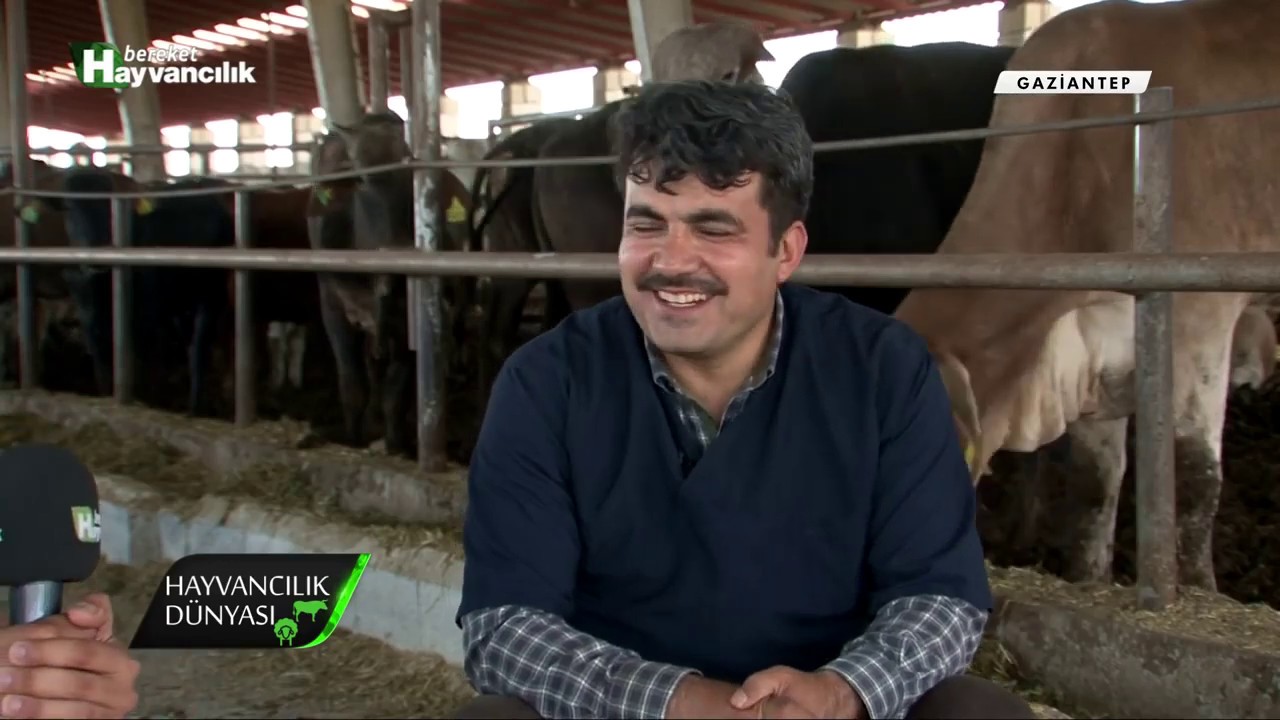 İTHAL HAYVAN IRKLARI VE ÖZELLİKLERİ