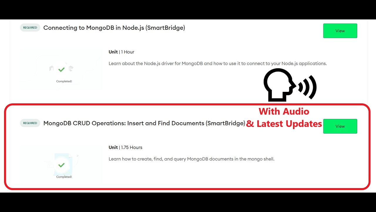MongoDB CRUD Operations: Insert and Find Documents (SmartBridge) | MongoDB Node.js Developer Path