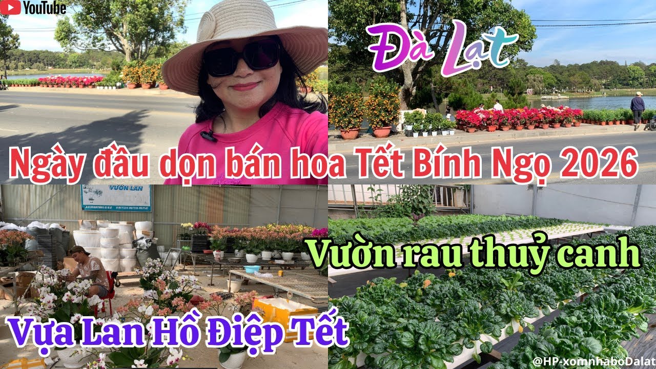 #64 - Ngày đầu Chợ Hoa Tết Đà Lạt - Vựa Lan Hồ Điệp - Vườn rau thủy canh 