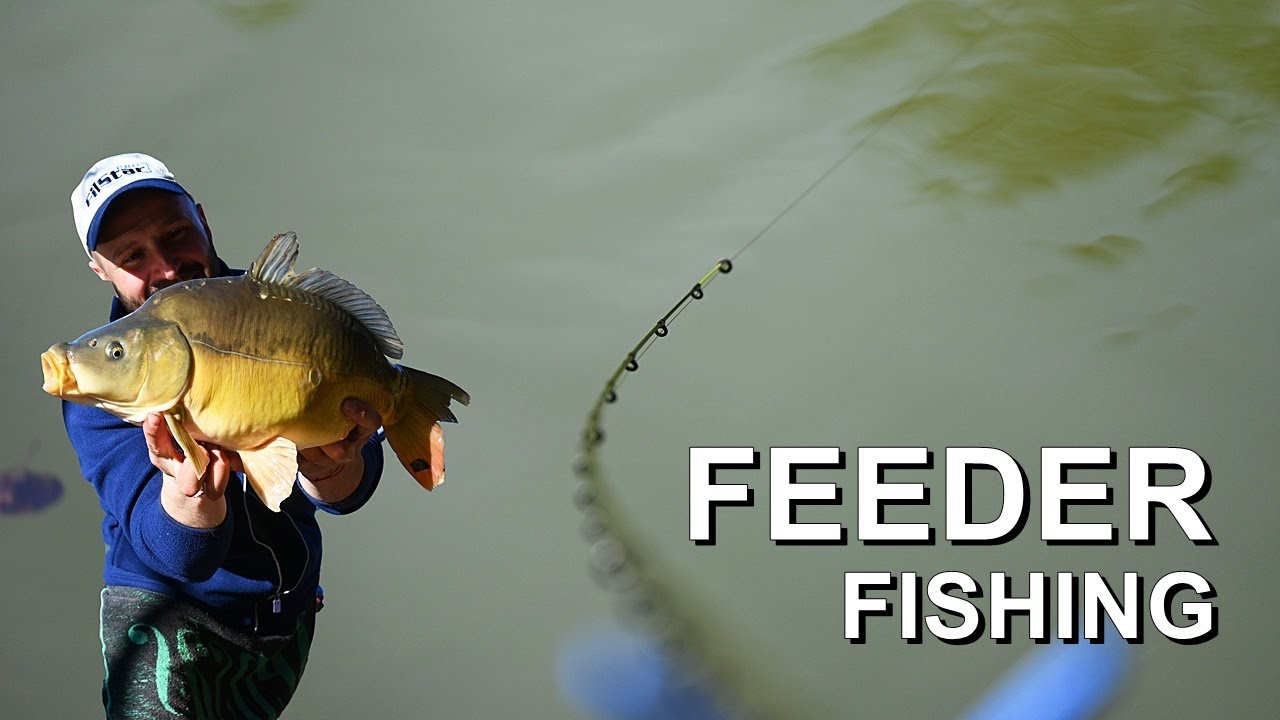 FEEDER FISHING for CARP - РИБОЛОВ на ШАРАНИ с МЕТОД ФИДЕР - РИБА ВКАРА ВЪДИЦАТА в ЯЗОВИРА