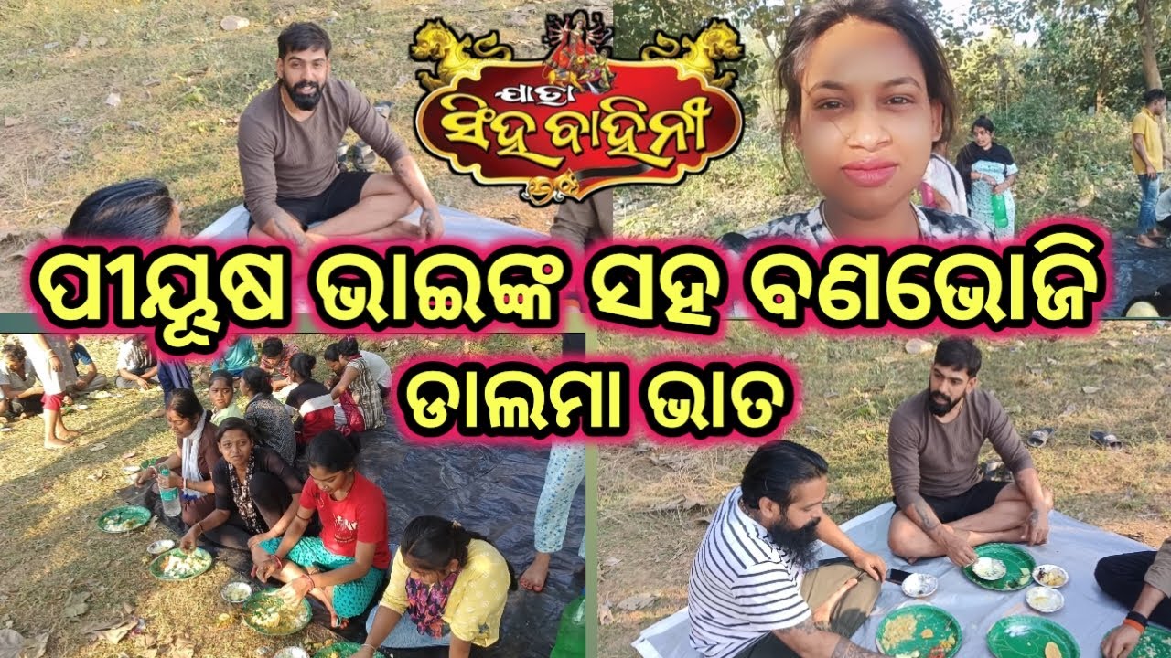 ପୀୟୂଷ ଭାଇଙ୍କ ସହ ବଣଭୋଜି । ଡାଲମା ଭାତ ... ଯାତ୍ରା ସିଂହବାହିନୀ।