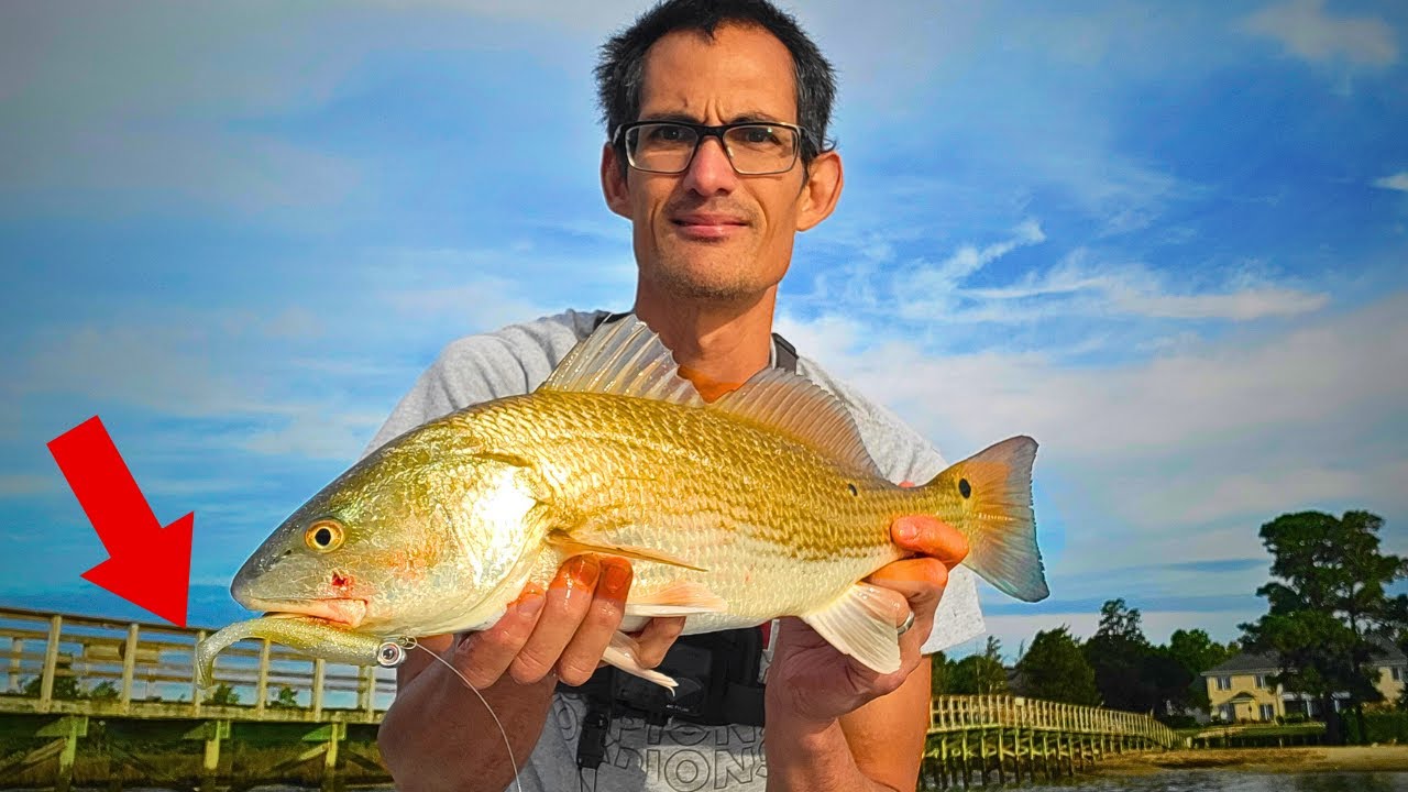 My First Fishing Trip in a Month Was a Multi Species Slay Fest!