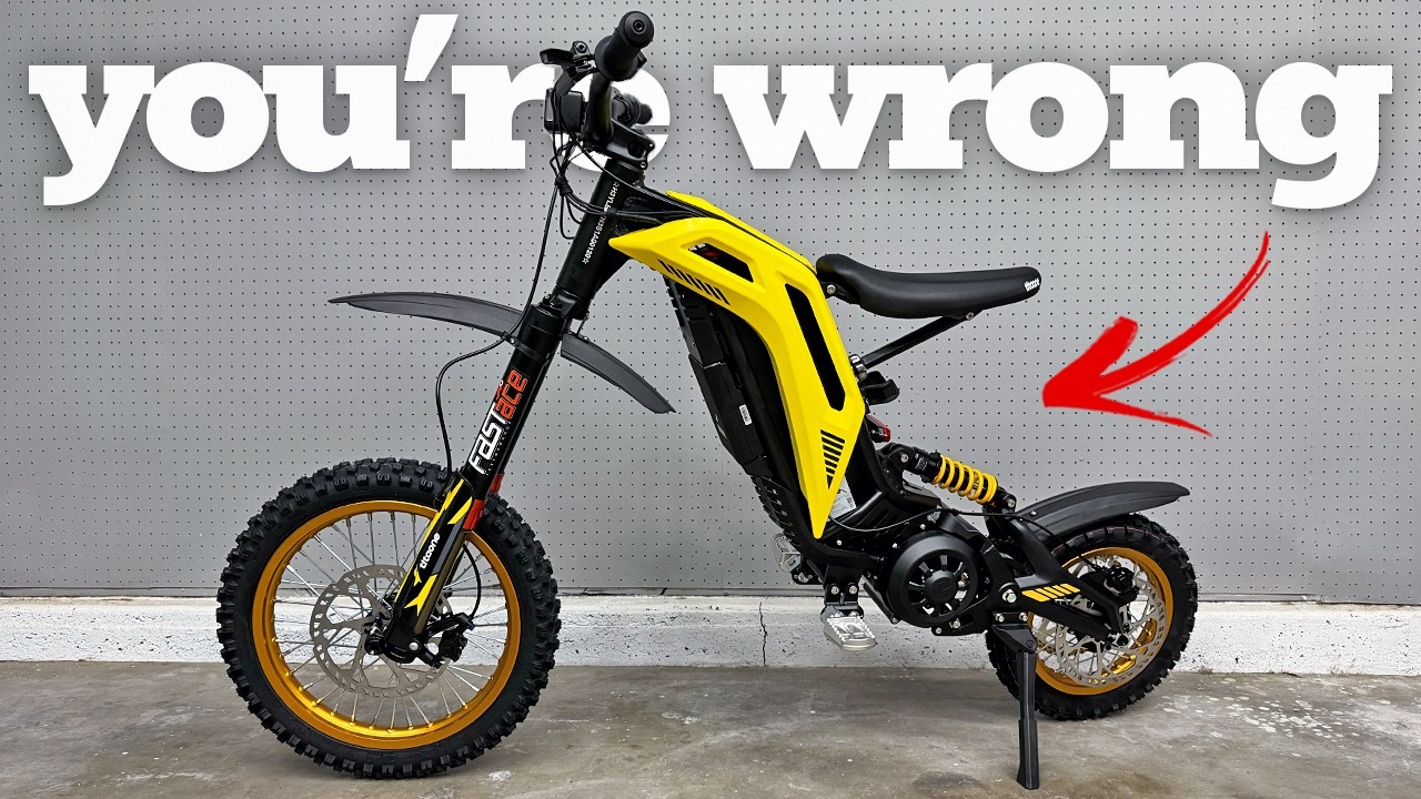 You’re Wrong About This New Electric Dirt Bike | 79bike Viper S Review
