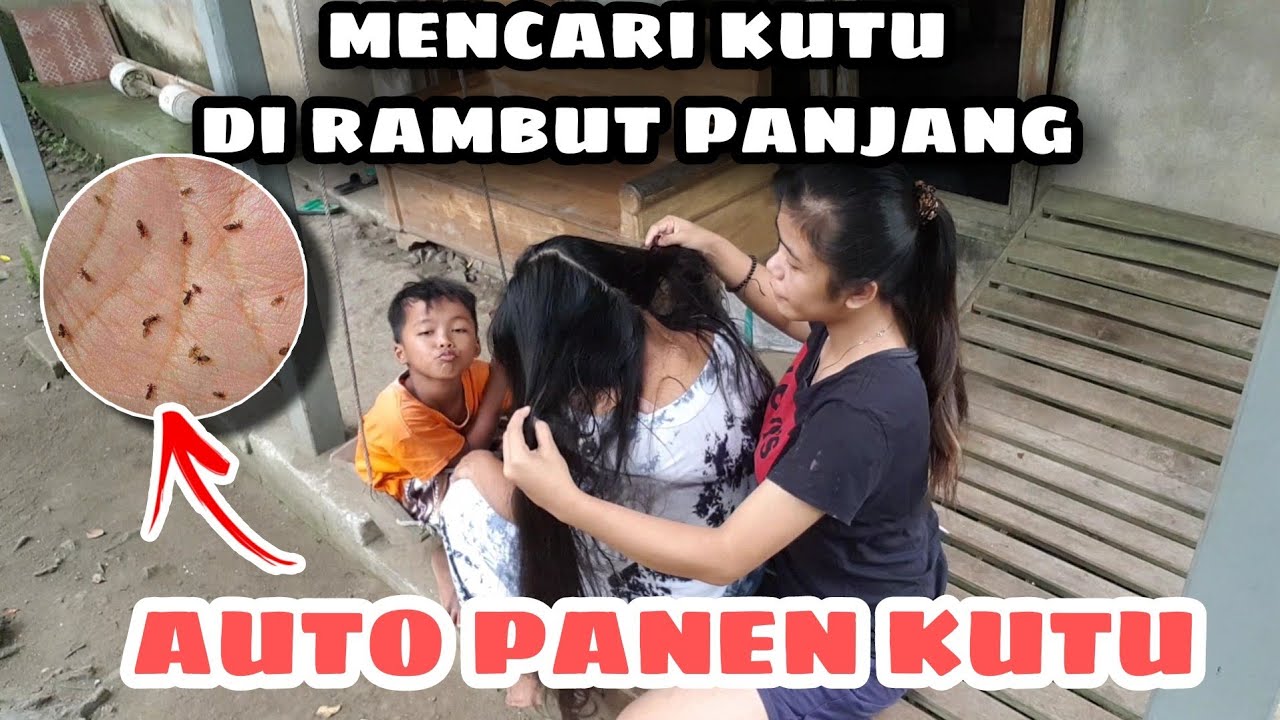 PETAN TUMO!!PANEN KUTU,BERSIHIN KETOMBE#petan #carikutu #petantumo #kehidupan #iburumahtangga#hair