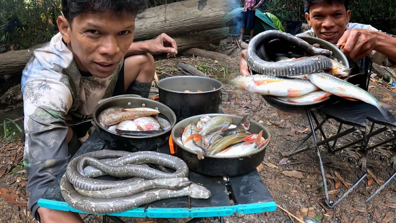 ថ្ងៃទីពីក្នុងឡង់ A day with lots of fish February 3, 2026