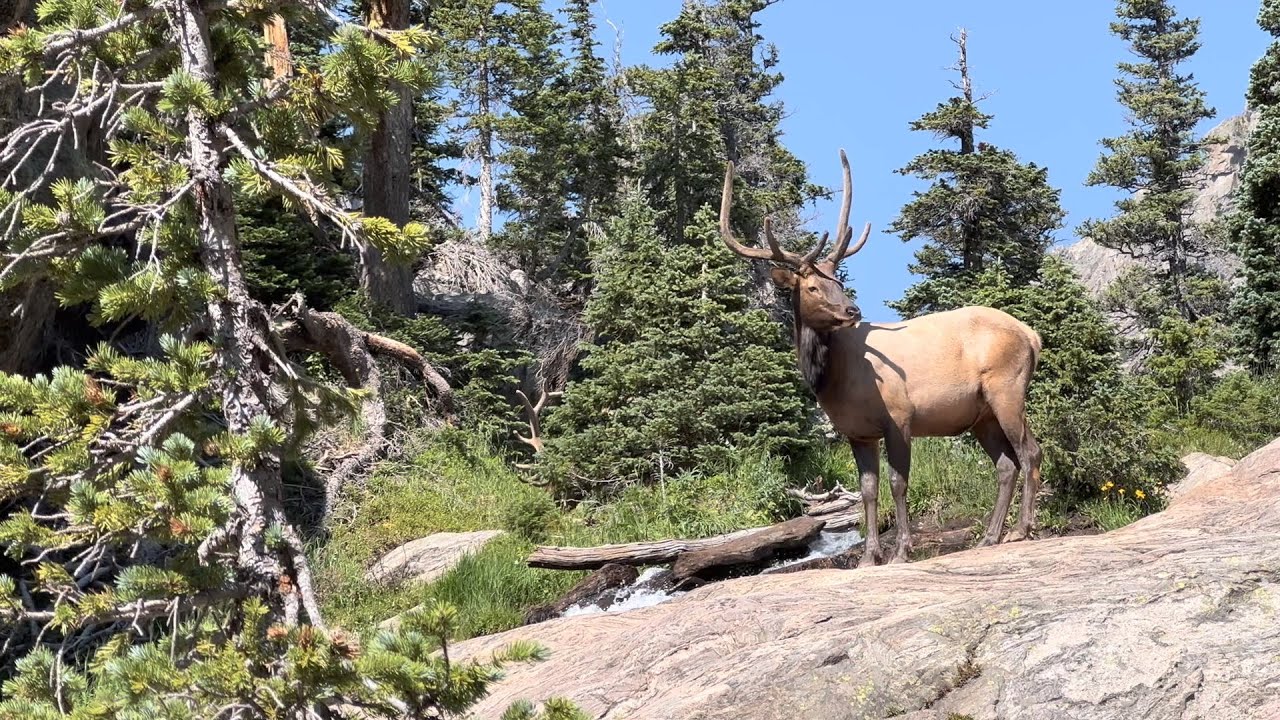 Best of RMNP