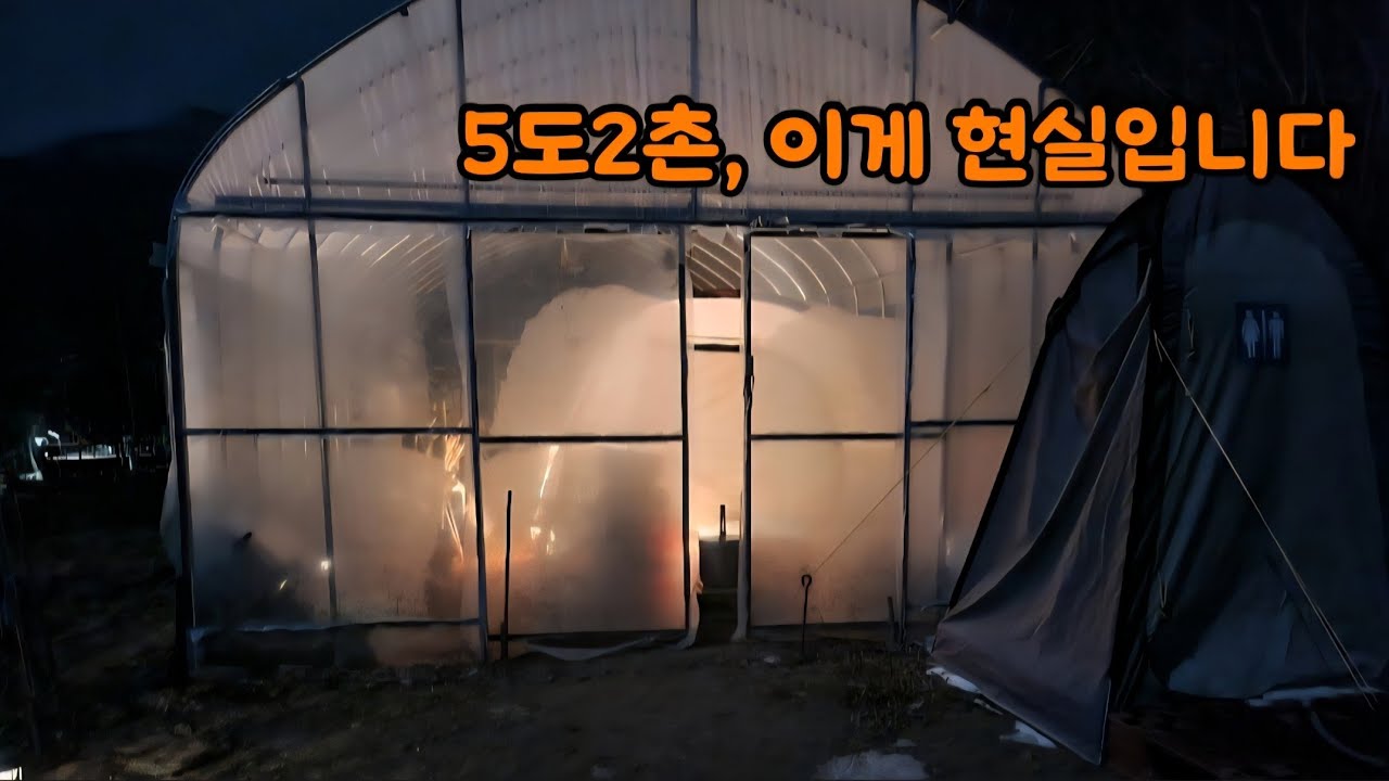 5도2촌 |영하13도 모든게 얼어버렸어요| 텐트에서 냥이들 한달 숙식| 밤새 바람소리 극한 추위