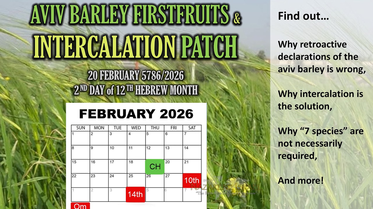 Aviv Barley Firstfruits and Intercalation 2026 Patch
