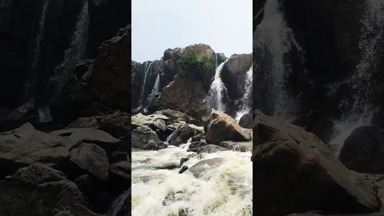 @RATANA647 @AkhilaDash #jgrp 🏞️💵📸👀🫣🤠🥰🤗🥰🥰