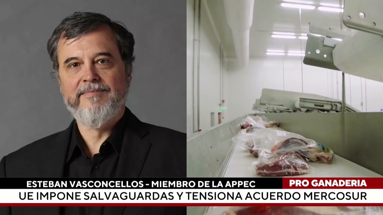 UE impone salvaguardas y tensiona acuerdo Mercosur