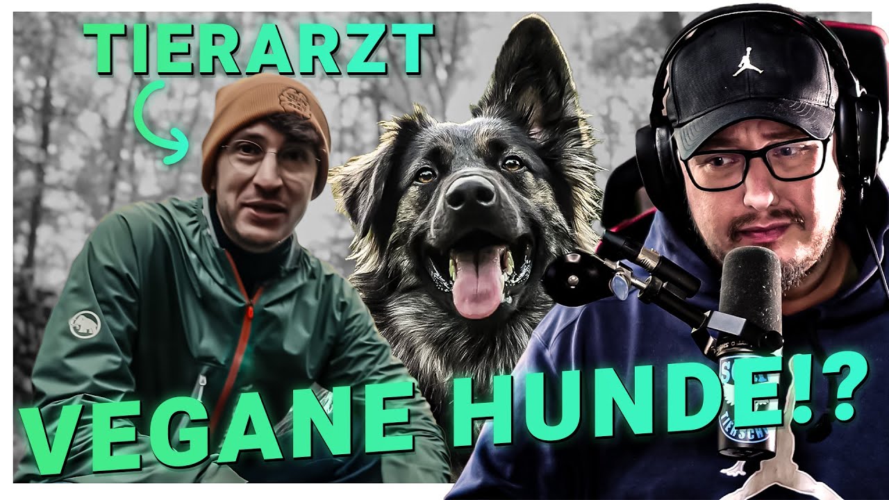 Hunde VEGAN ERNÄHREN? Tierarzt überprüft! | Karl reagiert auf @DerTierarzt
