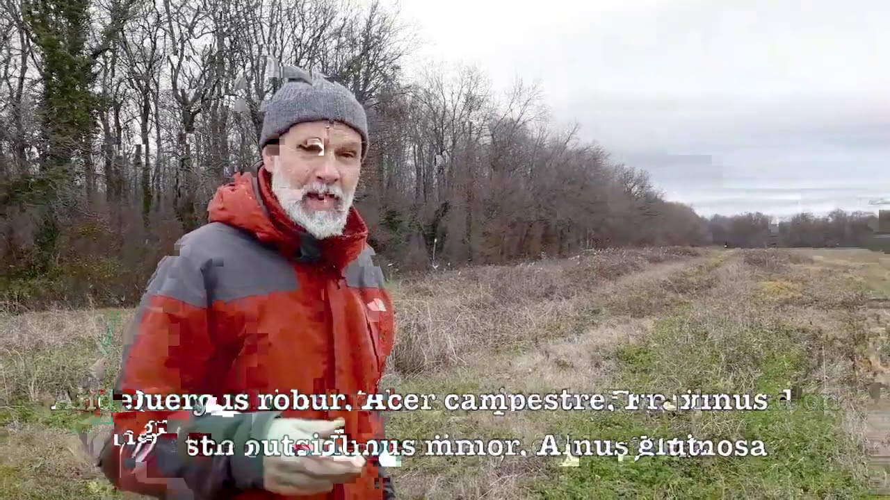 Alberi per il Bio - intervista al dottore forestale Enrico Siardi