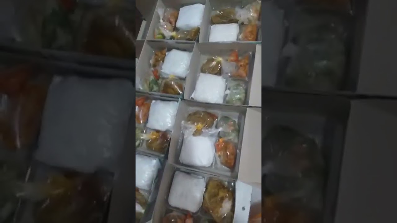 Nasi Kotak 