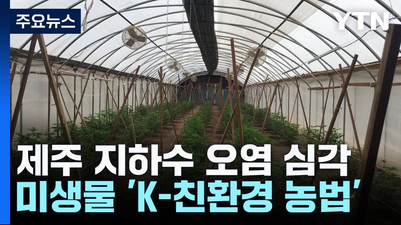 미생물 'K-친환경 농법'... 오염 감소&middot;소출 증대로 수출까지! / YTN