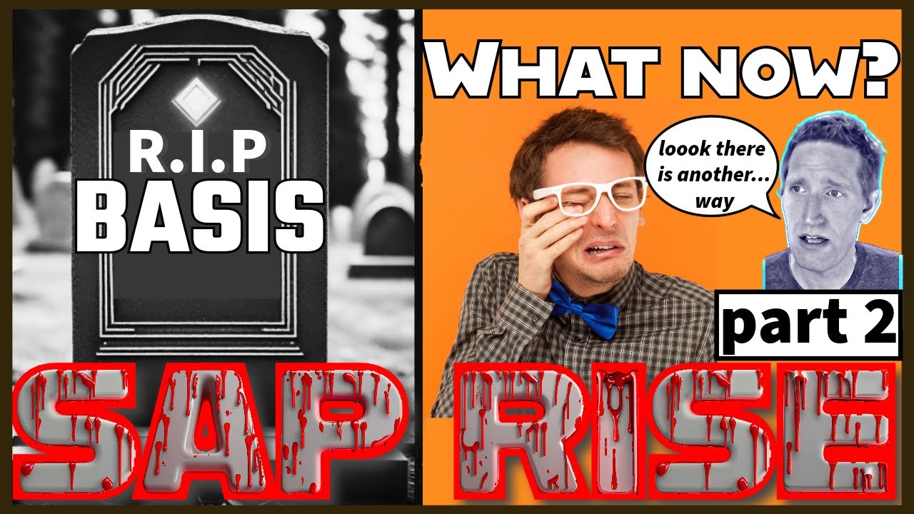 What next for BASIS after RISE with SAP ??