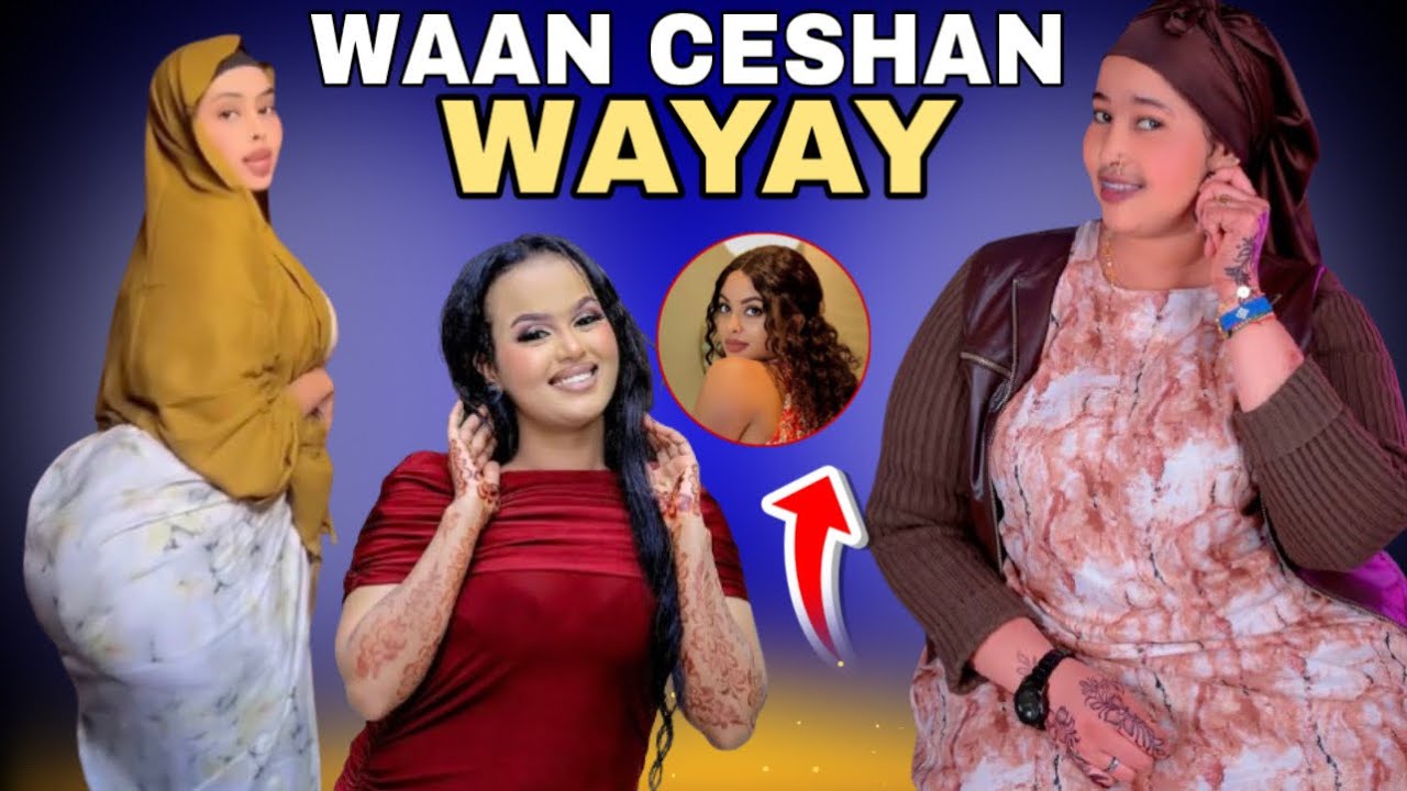 AX Qiso Kuleylka Dartiis Wax Aan La Filayn Ayaa Dhacay