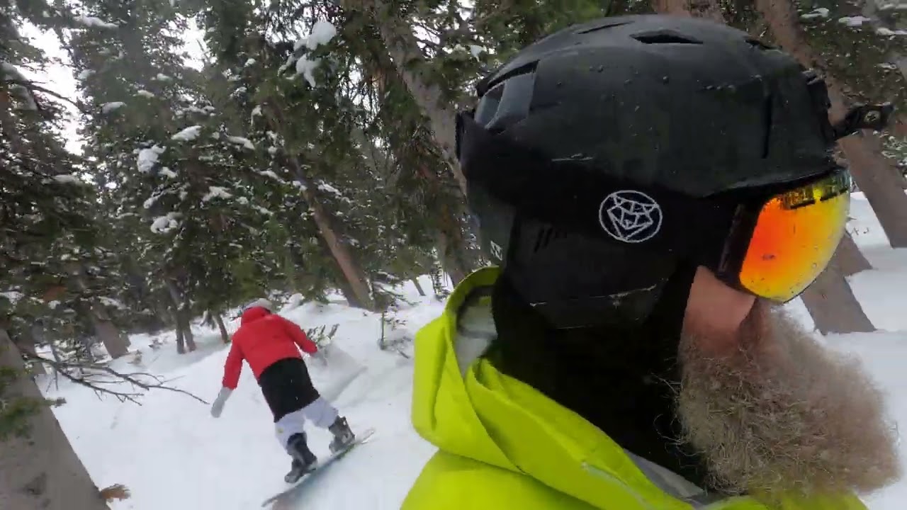 2/24/26 SNOWBOARDING THOR TREES IN A SNOWSTORM