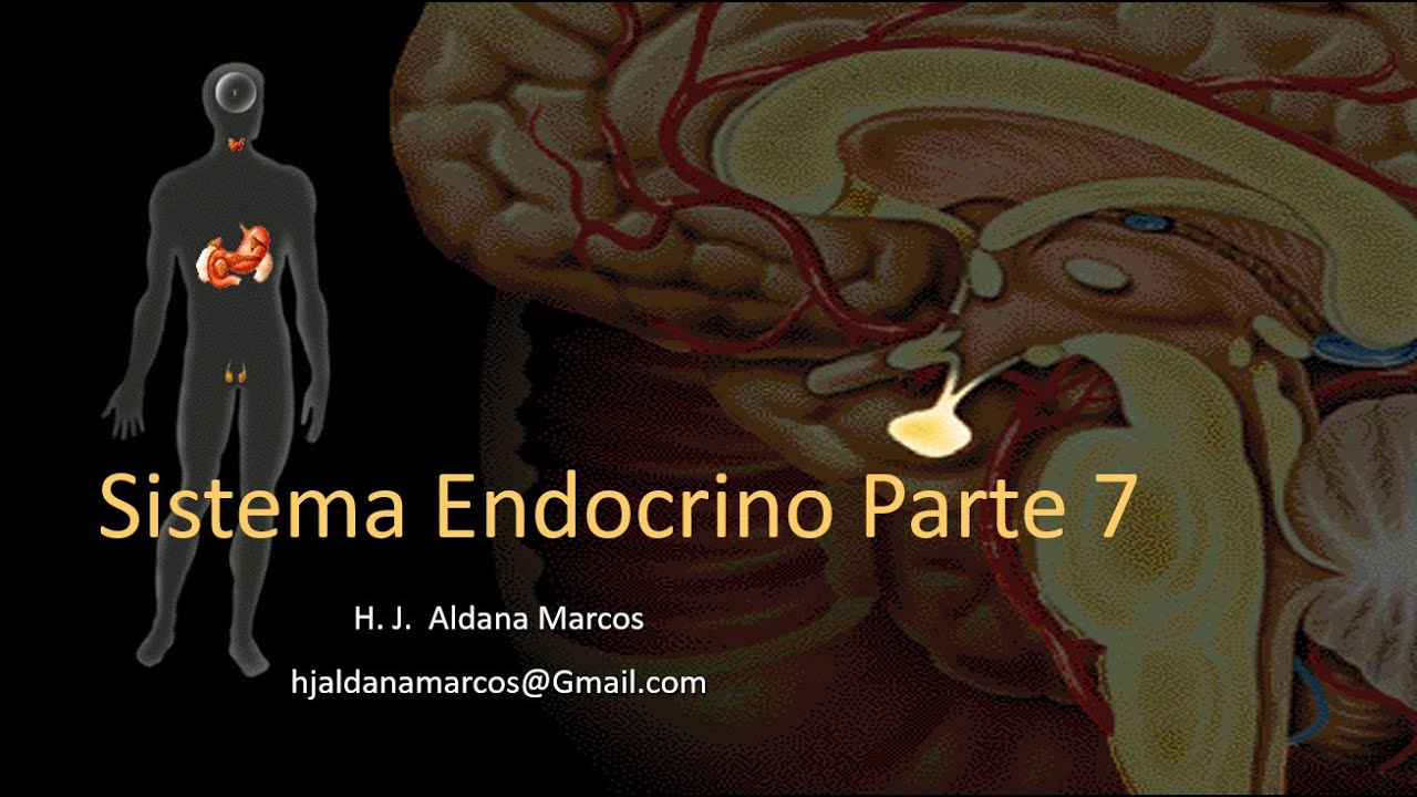Glándulas endocrinas. Parte 7 de 7. Tiroides. Paratiroides. Pineal. Hernán Aldana.